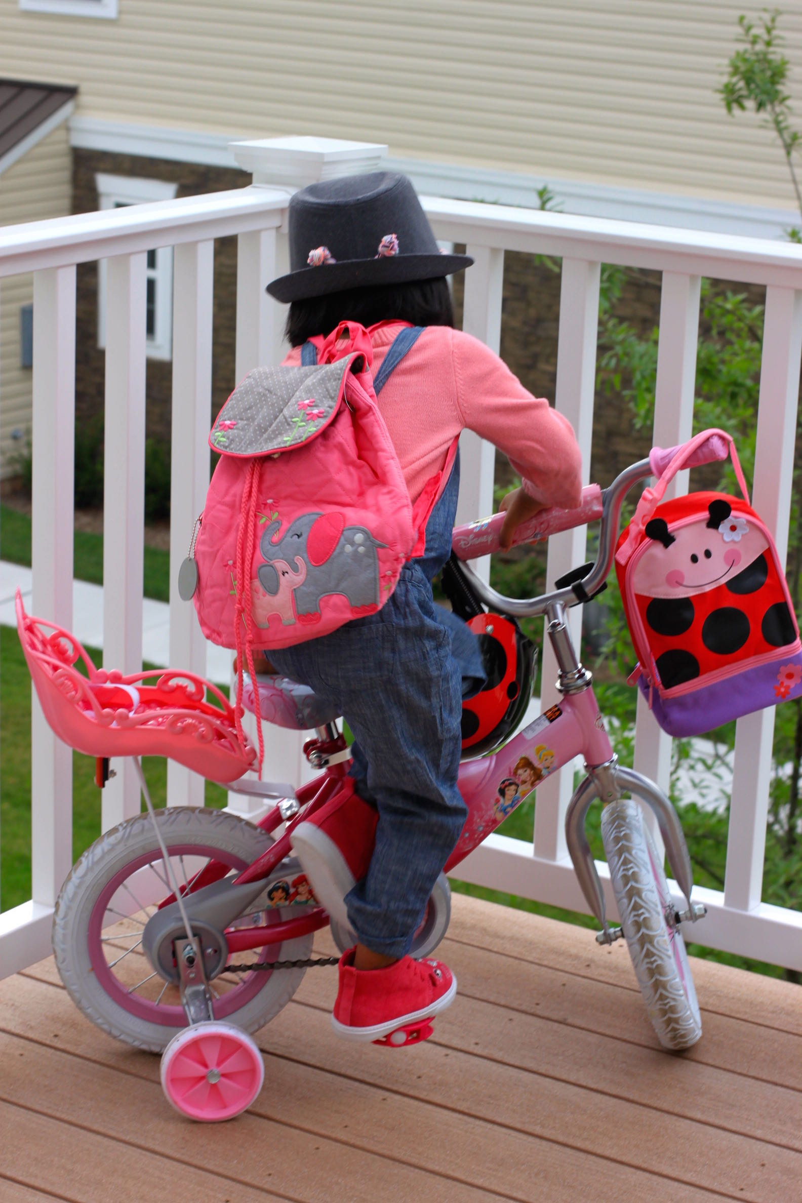 Super cute Back to school Must haves STEPHEN Joseph